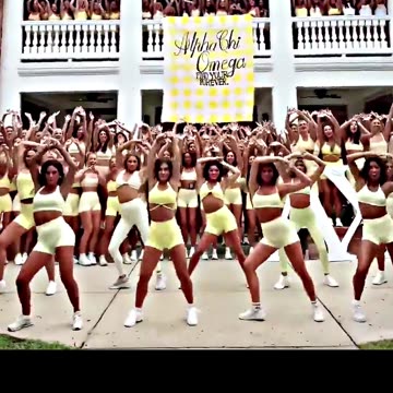 TRUMP Made WHITE Great Again🔥