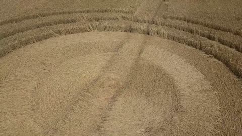 Observez le ciel – Crop Circles 17 août