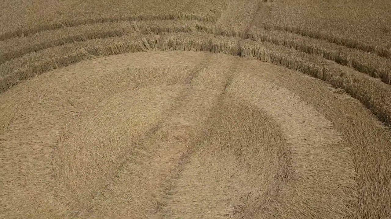 Observez le ciel – Crop Circles 17 août