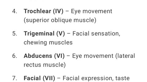 Cranial Nerves