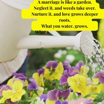 How to Keep Love Alive in Your Marriage