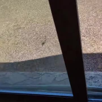 Window Lock Secret_ Is Your Home REALLY Secure_ (Watch This!)