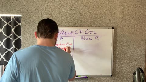 The Myth of Scarcity： why overpopulation makes you richer not poorer