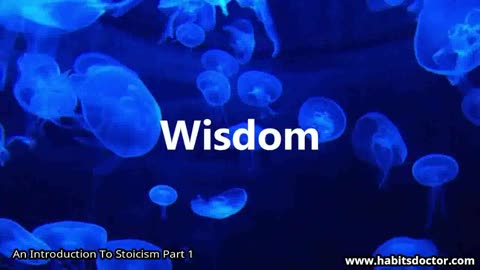 An Introduction To Stoicism Part 1