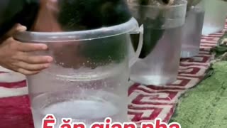 Dog's Comedy Videos 🤣 so cute videos 😍 funny pictures and puppies comedy scenes 🤣