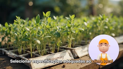 Cultivo de Plantas Medicinais: Guia Prático