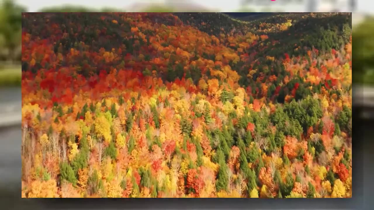 The USA-Scenic Relaxation Film With Calming Music-part 7