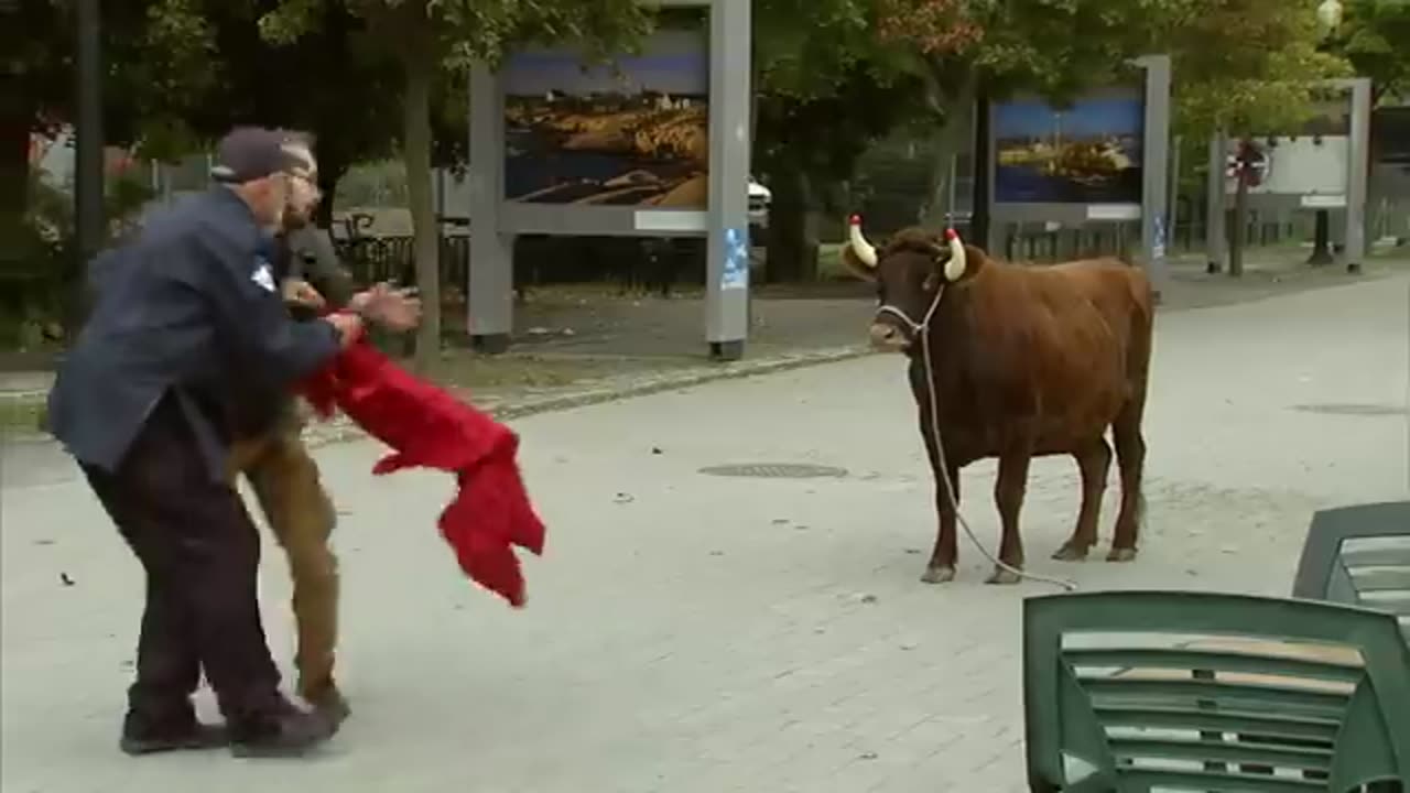 Best Of July 2023 | Just For Laughs Gags