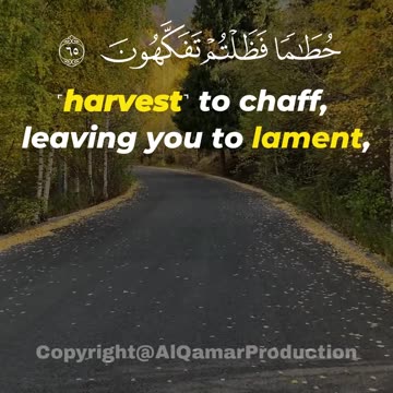 Surah Al-Waqia (62-70) | Reflection on Creation | The Hidden Signs of Allah’s Power