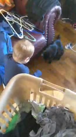 My granddaughter hypmotymzes a black cat!