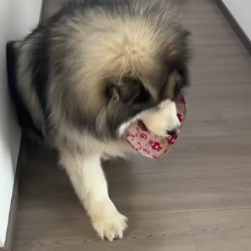 📹 Trending Chinese Viral Videos | Funny, Emotional & Shocking Moments