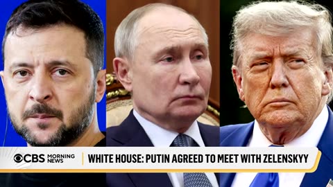 Inside Trump's attempts to set up a potential meeting between Zelenskyy and Putin