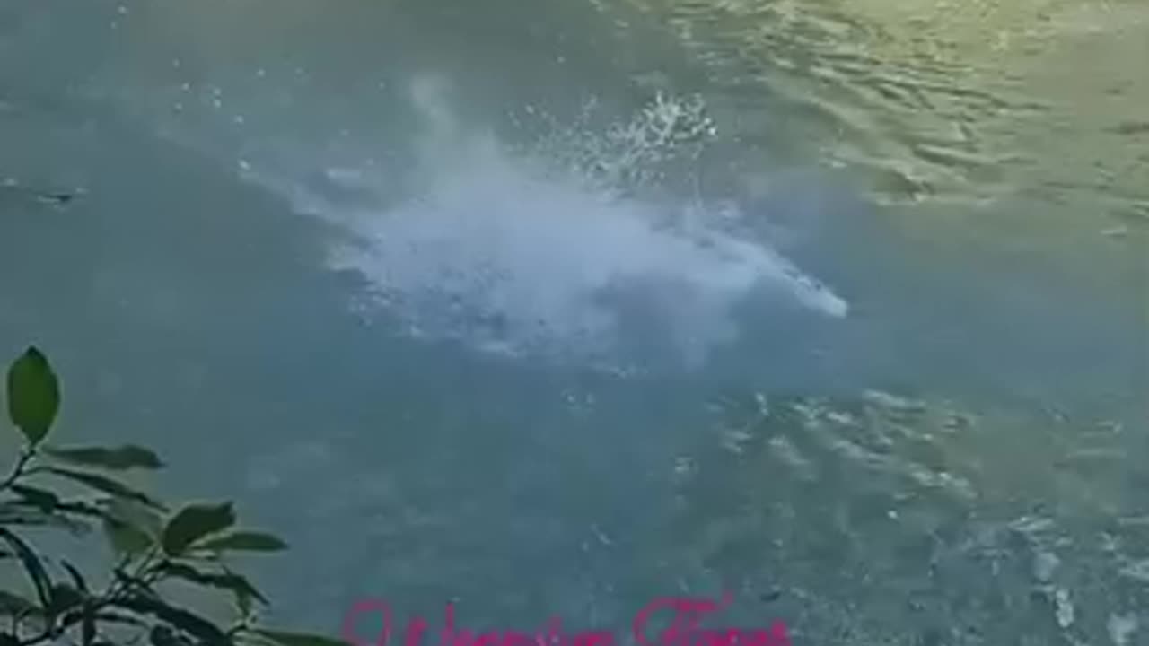 Sexy lady Swing and Jump 6