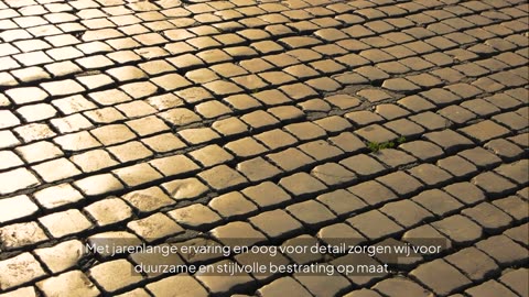 Op zoek naar een betrouwbare stratenmaker in Groningen?
