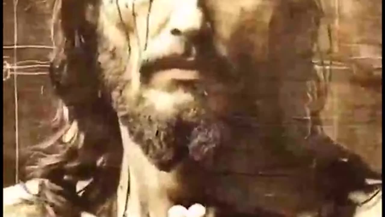 Is this the real face of Christ?