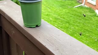 🤯🌱 What's Under the Plant Pot?! | FunFM