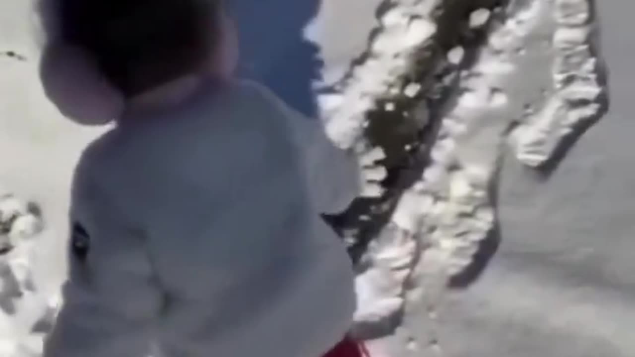 Funny video