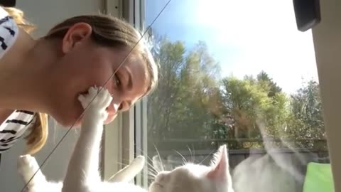 Animals and Babies: Cutest Combos 50