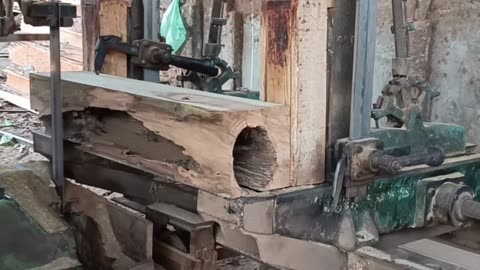 Extraordinary! The discovery of hollow teak wood
