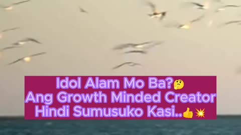 Growth Minded Creator
