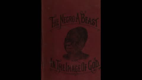 The Negr0 a Beast or in the Imagine of God. Chapter 11, part 1.