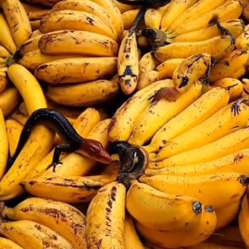 CAN I STILL EAT THAT!!