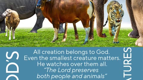 God's Creatures