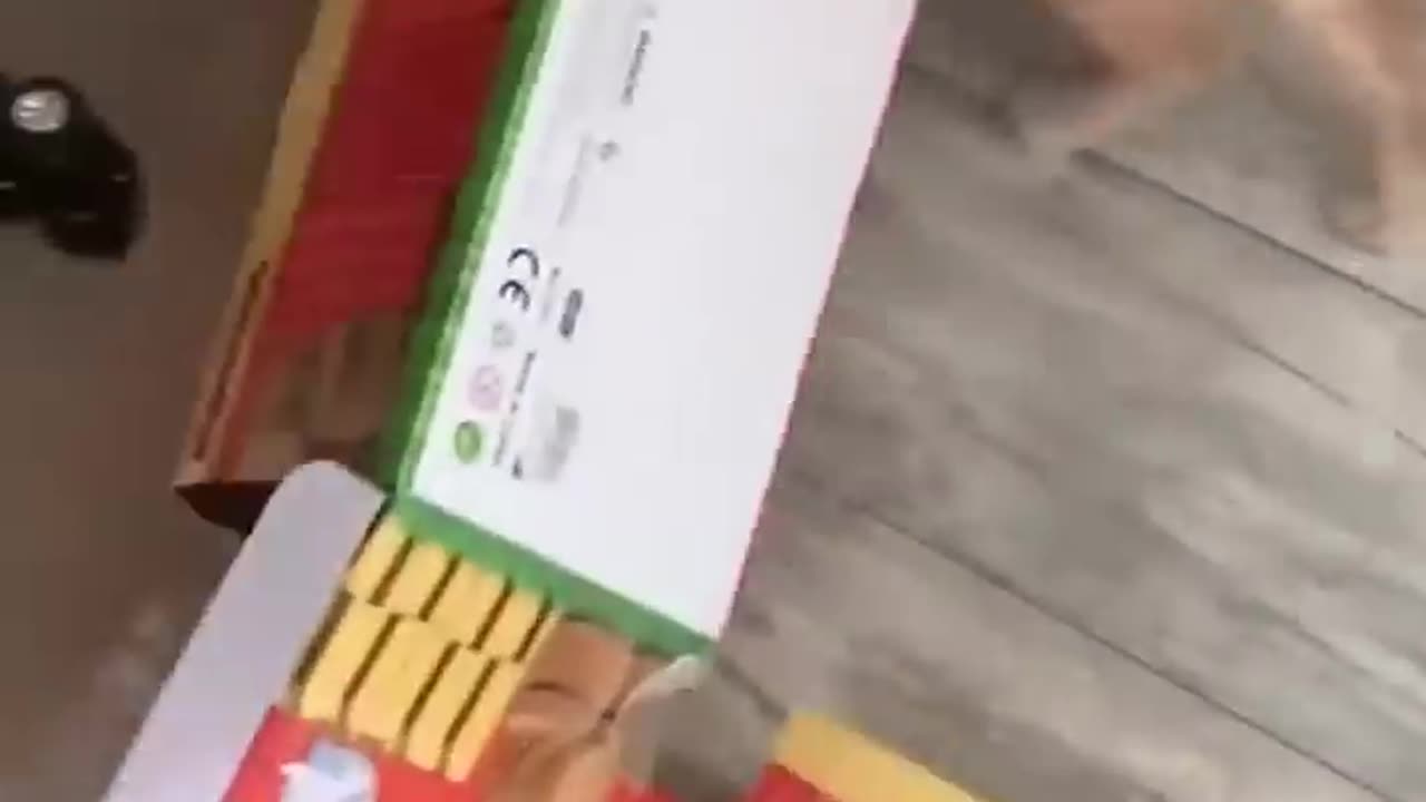 You Won’t Believe What This Kitty Did!