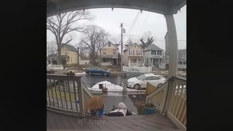 funny videos compilation