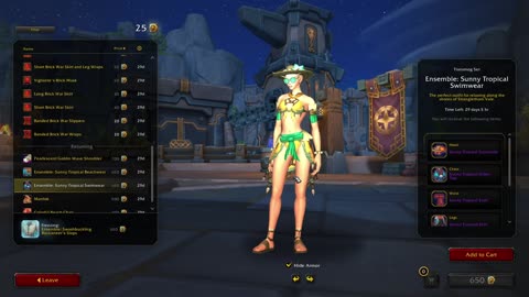 WoW│Checking out this Month T-MOG from Trade Post - Blizzard Improving their Outfit Design