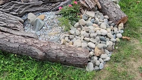 Behind the scenes of Heavy Terraforming