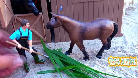 Feeding Horse and Sheep with Green and Gresh Grass
