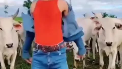 😂🐄 Cows Want No Damn Dance | FunFM