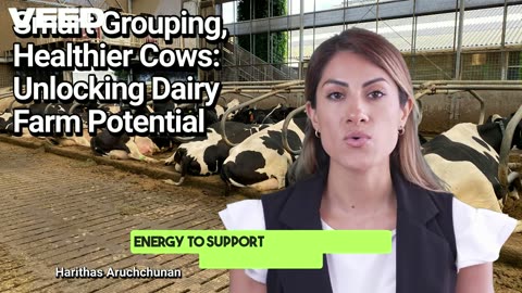 Transform Your Dairy Farm:Grouping Benefits