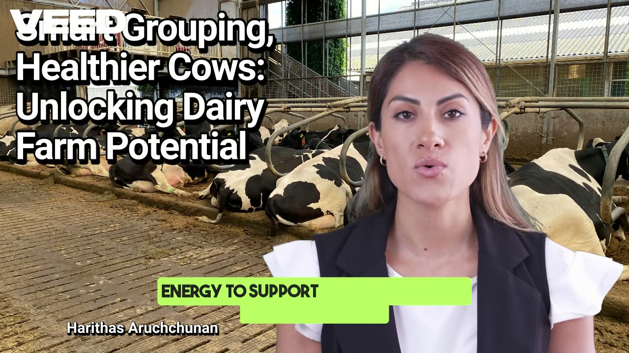 Transform Your Dairy Farm:Grouping Benefits