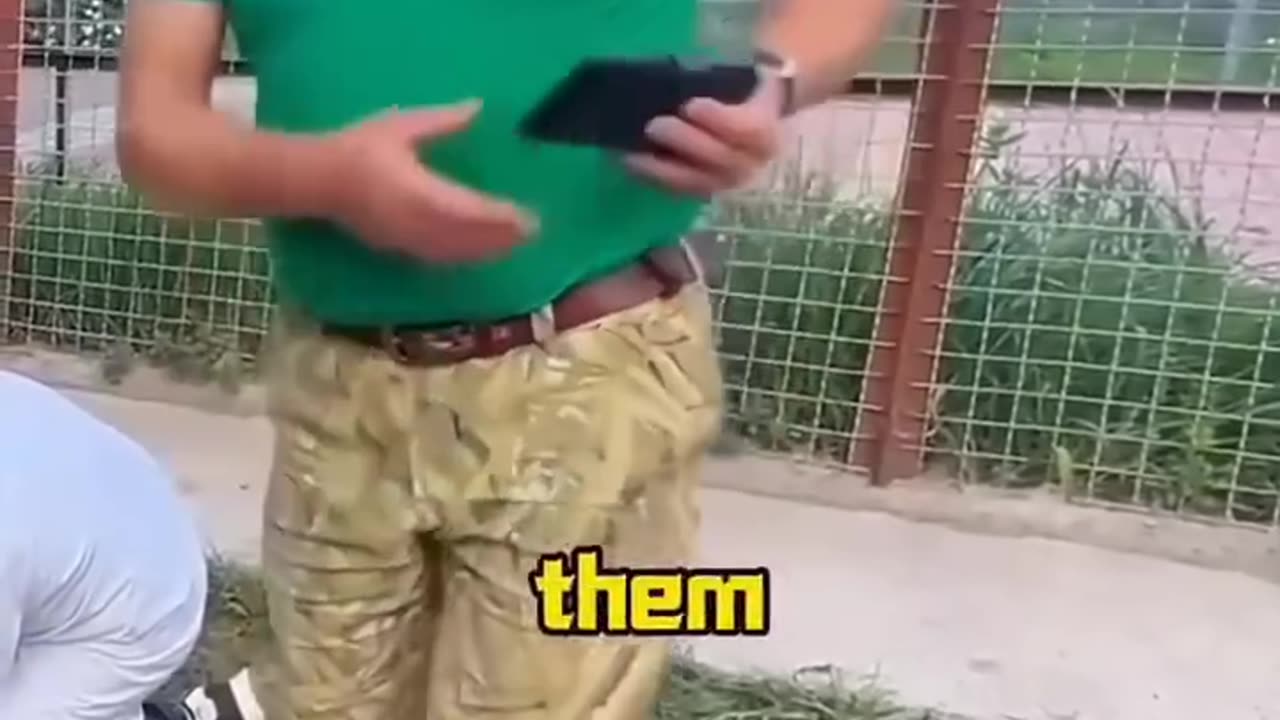 Animal
