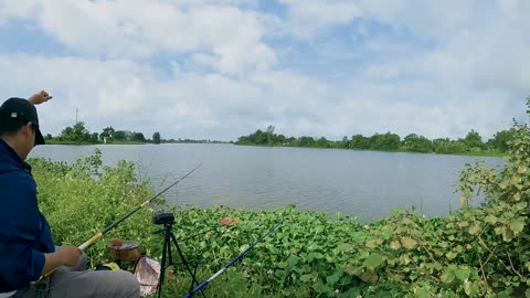 Zander am Ufer Der große Fang #Zanderangeln #Süßwasser #Flusszauber