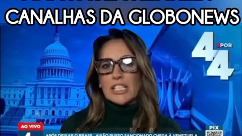 ANA PAULA HENKEL: CANALHAS DA GLOBONEWS.