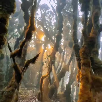 Surreal beauty in Vietnam (Part 6)