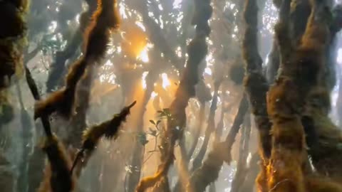 Surreal beauty in Vietnam (Part 6)