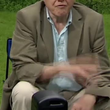 The Flower and Bee Relationship