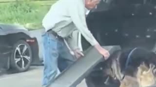 This is truly a beautiful and true friendship