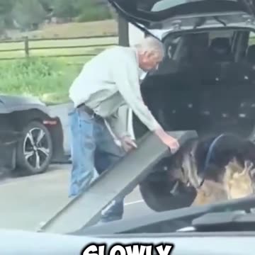 This is truly a beautiful and true friendship