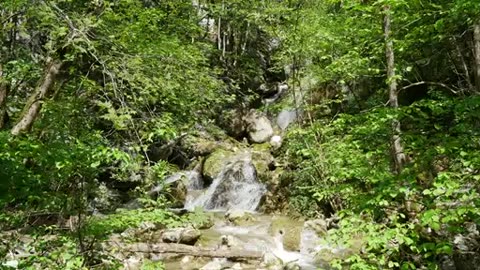 Peche en nymphe