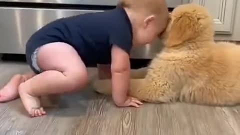 My Playful Friend