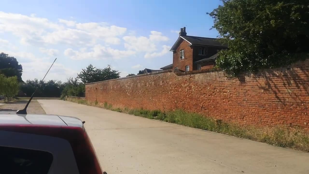 No Black Panther Sandringham Serial Killer Here 3