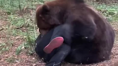 کشتی با خرس گریزلی