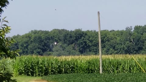 Beautiful day in Shelby County, Ohio!