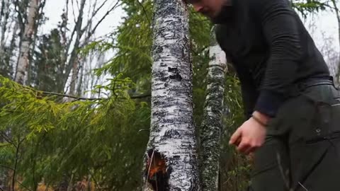 Building the Final Details of Your Log Cabin Porch