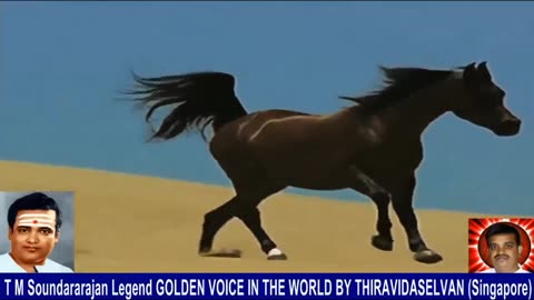Old Is Gold (evergreen) T M Soundararajan Legend Vol 236 Horse Song 9